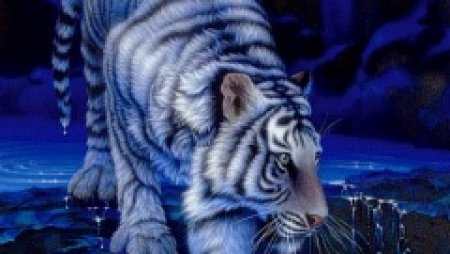 White_Tiger_2.jpg