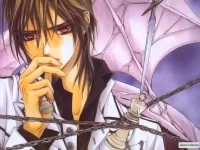 vampire knight (11).webp