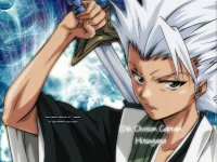 Hitsugaya Toshirou (5).webp