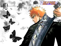 Kurosaki Ichigo (21).webp