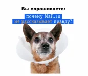 Mail.Ru versus Билайн - битвы корпораций