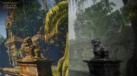 Comparison_Jungle-scaled.webp