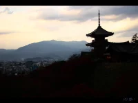 kyoto.webp