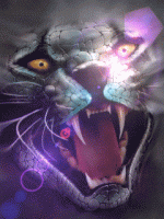 snakecat_ctvd4cxq.gif