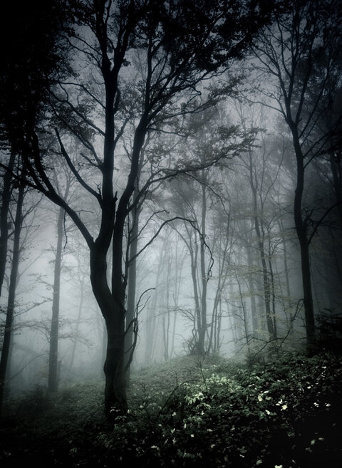 dark_in_forest_by_szuwar.jpg