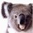 Koalka