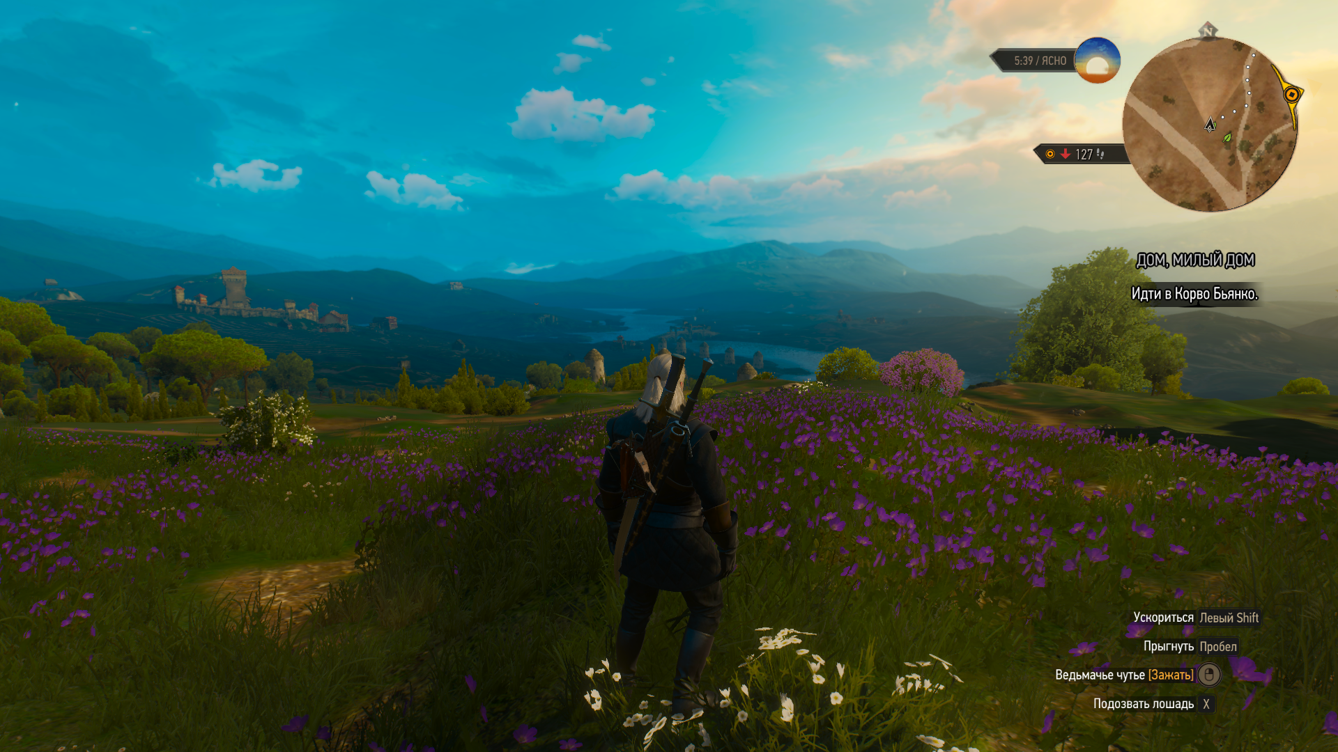 The Witcher 3 29.03.2020 15_59_29.png