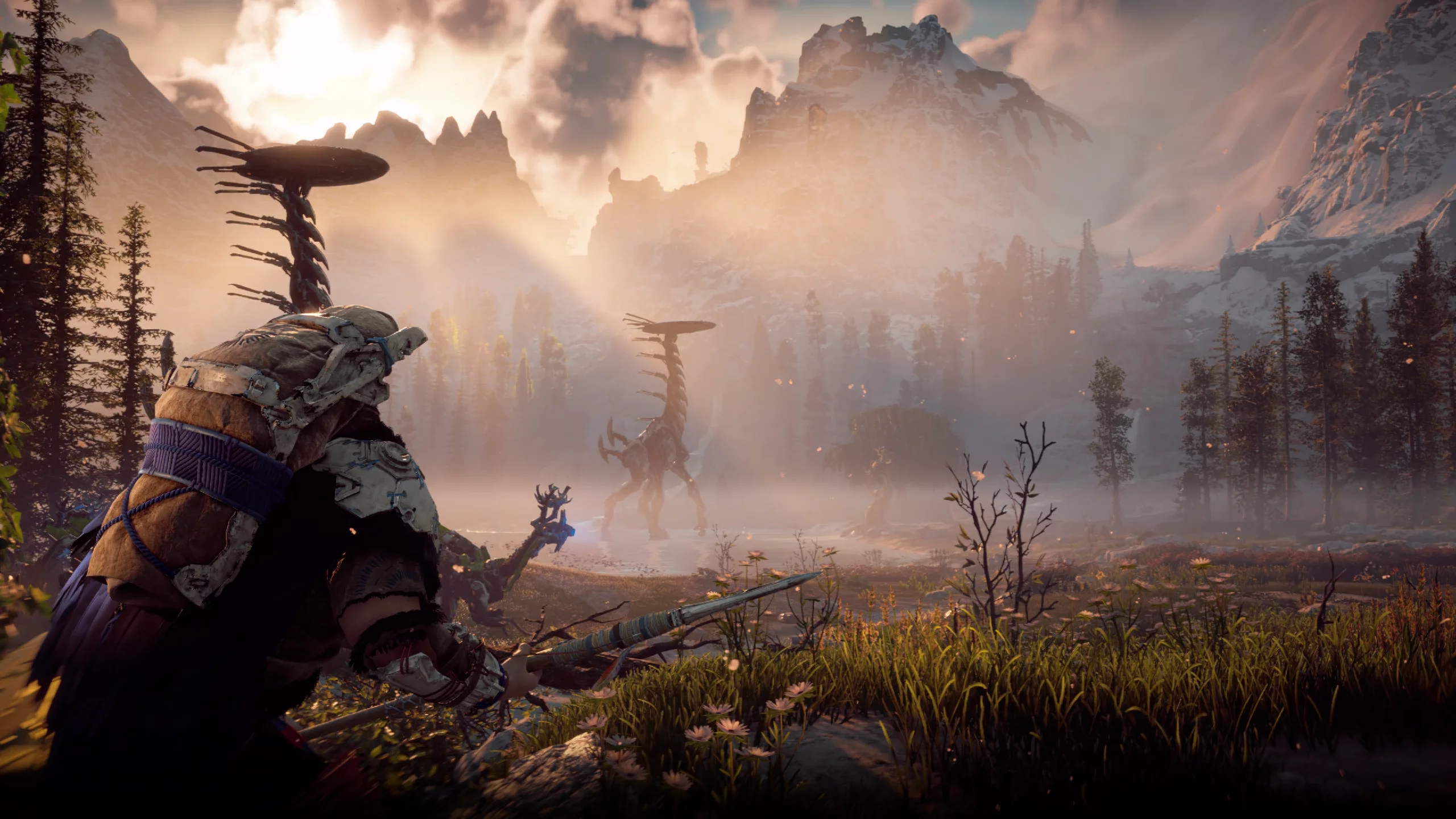 Horizon Zero Dawn Complete Edition Screenshot 2020.08.08.png