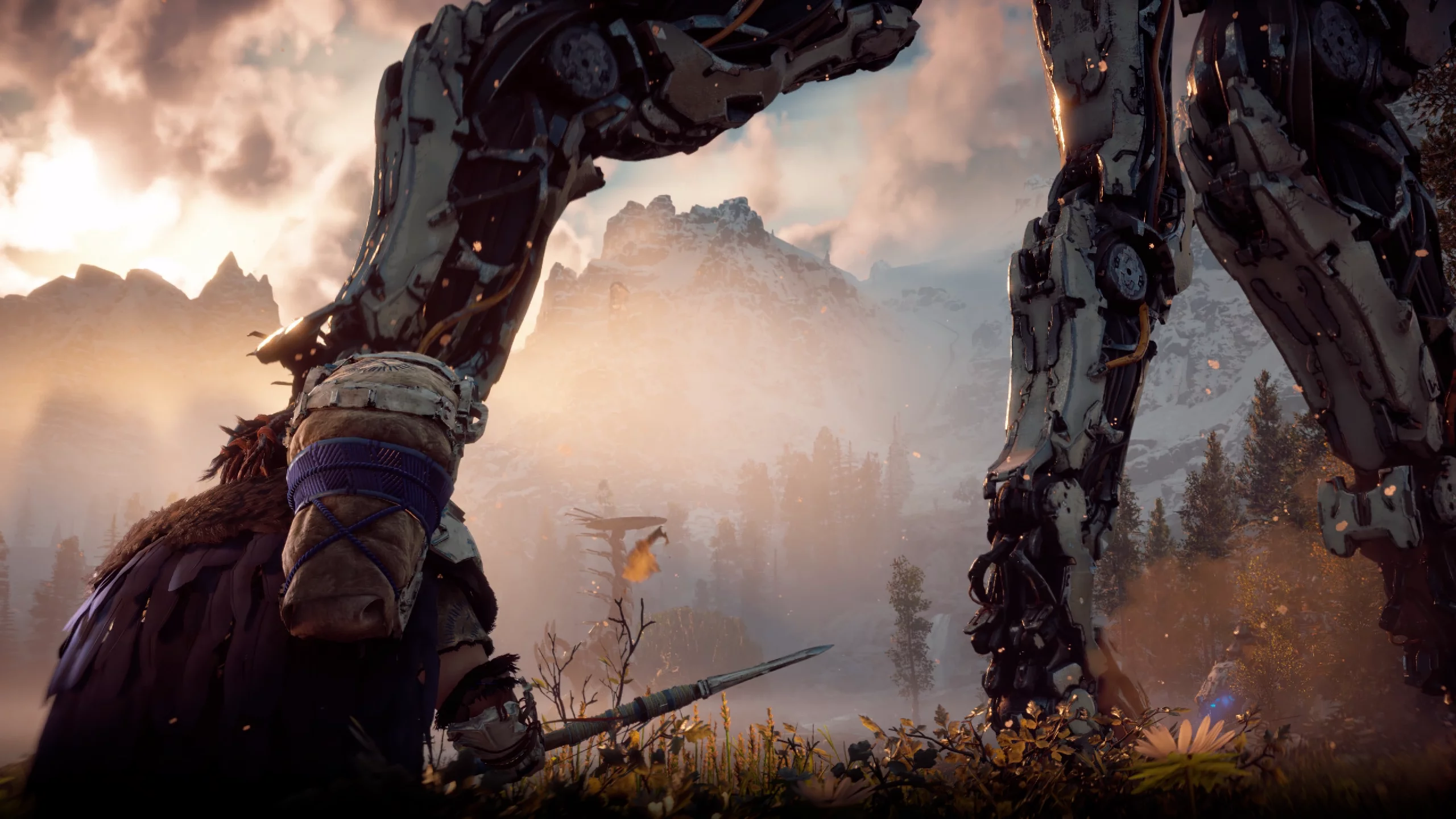 Horizon Zero Dawn Complete Edition Screenshot 2020.08.08.png