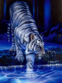 White_Tiger_2.jpg